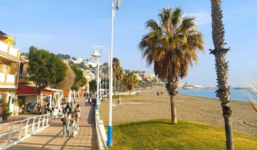 Guided tour of Malaga fishing scene with cooking workshop - What You Get vs. What You Don’t