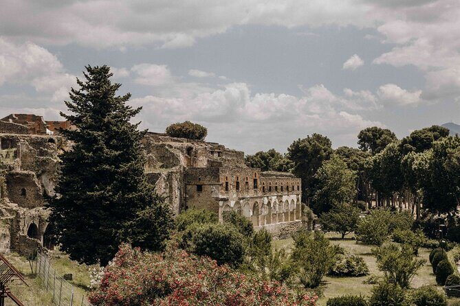 Guided Tour of Pompei, Lunch and Wine from Sorrento - The Itinerary in Detail: What You Can Expect