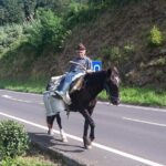 Guided tour of Sete Cidades & Lagoa do Fogo, lunch included - An In-Depth Look at the Tour Experience