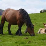 Guided tour of the 5 most beautiful towns in Basque Country - Why This Tour Offers Great Value