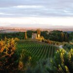Guided tour of the cellars with wine tasting and lunch - What You Can Expect on the Tour