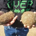 Guided tour of the Ebro Delta (North Delta) - Authentic Insights from Past Participants