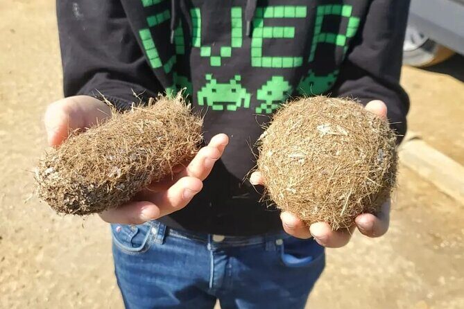 Guided tour of the Ebro Delta (North Delta) - Authentic Insights from Past Participants