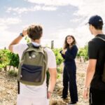 Guided Tour of the Estate & Tasting of 4 wines - Authenticity and Value