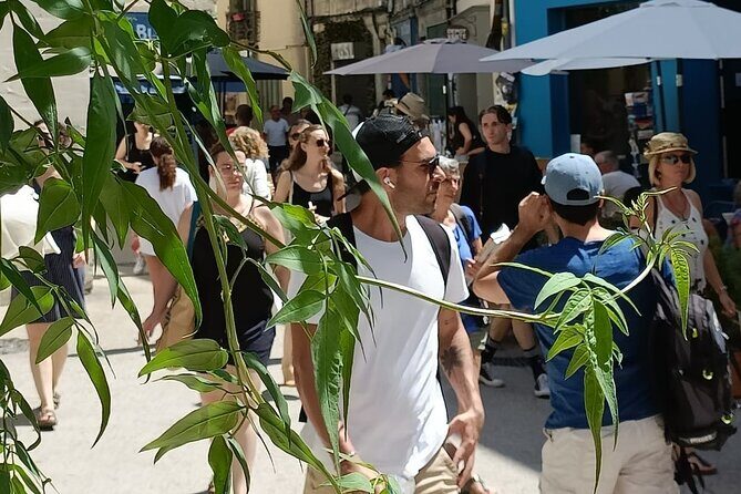 Guided tour of the Historic Center of Avignon - Practicalities and What You Should Know