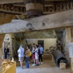 Guided tour of the salt pans of Trapani and the Salt Museum - Exploring the Itinerary in Detail