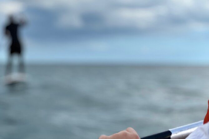 Guided tour through the caves of Benagil - Pricing and Value for Money