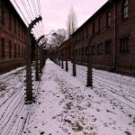 Guided tour to Auschwitz Birkenau museum from Krakow with lunch - Price and Value Analysis