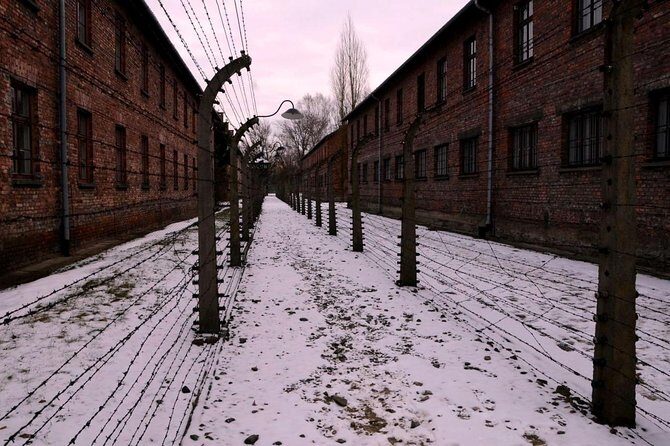 Guided tour to Auschwitz Birkenau museum from Krakow with lunch - Price and Value Analysis