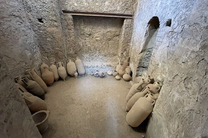 Guided Tour to Pompeii Ruins and Vesuvius from Sorrento - Practical Details and What to Expect