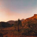 Guided Tour to Teide National Park in Tenerife - In-Depth Look at the Tour Experience