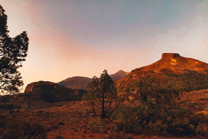 Guided Tour to Teide National Park in Tenerife - In-Depth Look at the Tour Experience