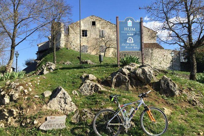 Guided Truffle Hunt Istria - Who Would Love This Tour?