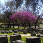 Guided visit to ancient Olympia with an Italian-Greek archaeologist tour guide - What’s Included and What’s Not