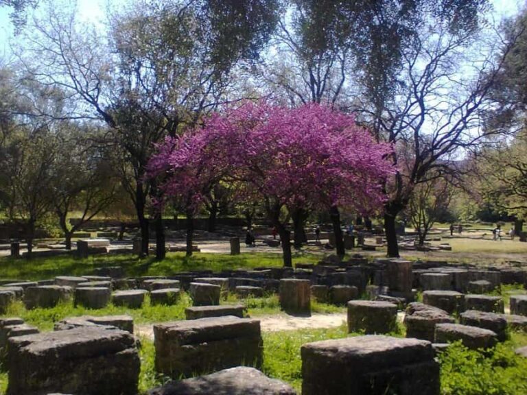 Guided visit to ancient Olympia with an Italian-Greek archaeologist tour guide - What’s Included and What’s Not