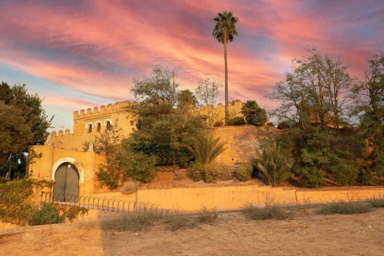 Guided Visit to the Castle of Láchar, Granada - Practical Details and Value