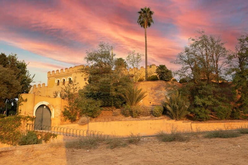 Guided Visit to the Castle of Láchar, Granada - Practical Details and Value