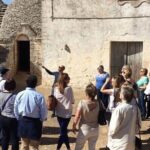 Guided Visit to the Vineyard with Wine Tasting - The Value of the Tour