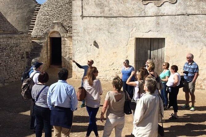 Guided Visit to the Vineyard with Wine Tasting - The Value of the Tour