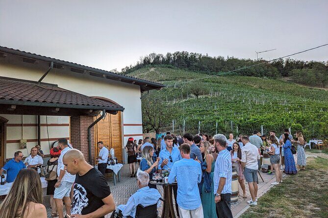 Guided Walk and Lunch in the Vineyard in Alba - Why This Tour Works Well for Certain Travelers