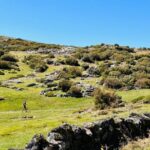 Guided Walk & Picnic Peneda Gerês National Park - What’s Included & What to Consider