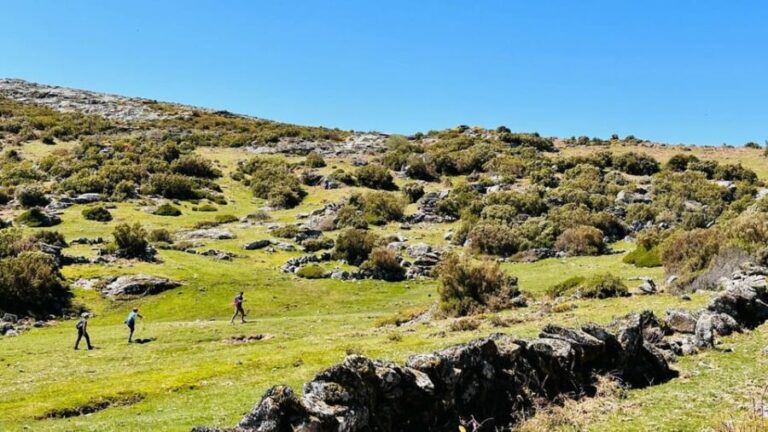 Guided Walk & Picnic Peneda Gerês National Park - What’s Included & What to Consider