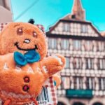 Guided Walking Tour in Strasbourg between History and Curiosities - Who Will Love This Tour?