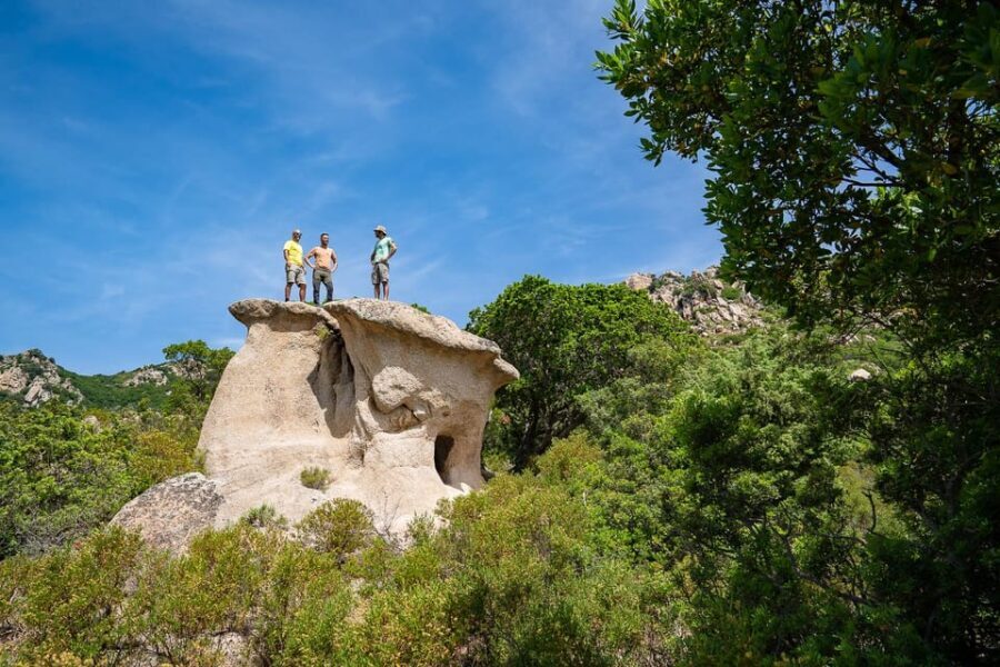 Gulf of Orosei: 4X4 tour between Mountains & Beaches - Transportation and Practicalities
