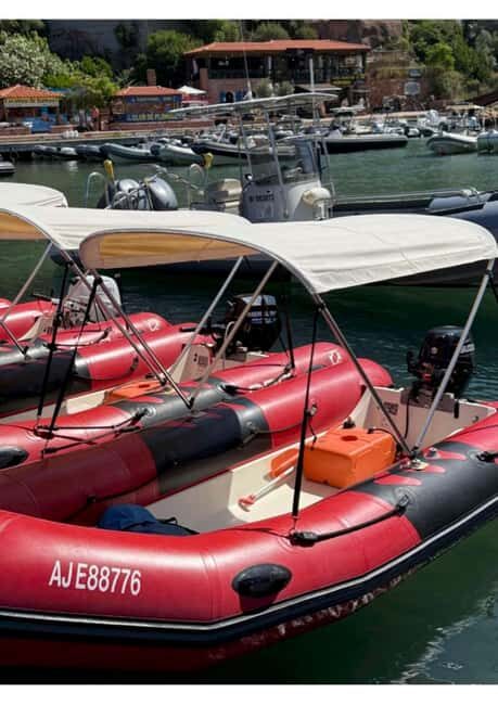 Gulf of Porto: Boat rental without a license - Why This Experience Offers Great Value