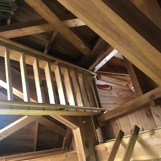 Haarlem: Windmill 'De Adriaan' Guided Tour - Authentic Insights from Reviewers