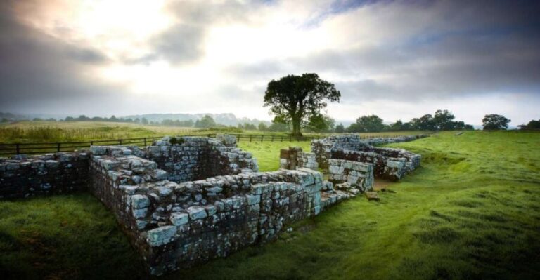 Hadrian's Wall: Birdoswald Roman Fort Entry Ticket - The Spectacular Location and Views