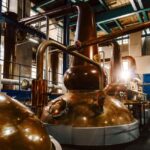 Hairy Coos & Highland Views: A Short Escape from Edinburgh - Practical Details and What You Need to Know