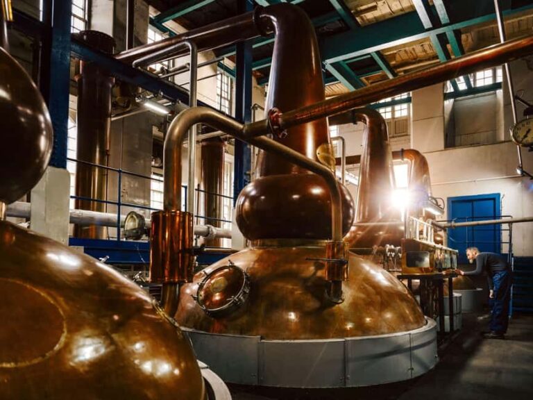 Hairy Coos & Highland Views: A Short Escape from Edinburgh - Practical Details and What You Need to Know