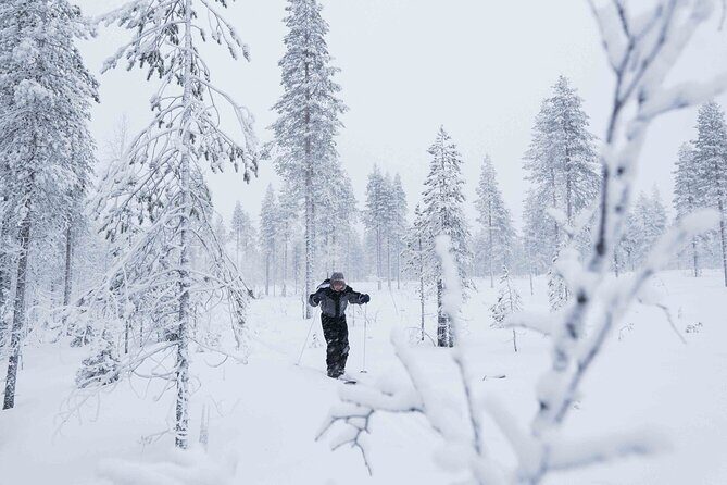 Half-Day Backcountry Skiing Tour in Levi with Photography Guide - Transportation, Group Size, and Practical Details