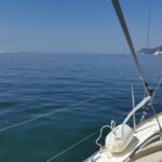 Half-Day boat experience - Comporta - Troia - Setubal - The Value of the Experience