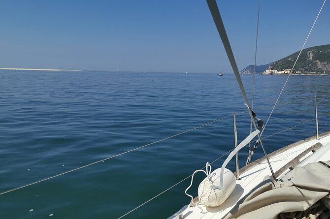 Half-Day boat experience - Comporta - Troia - Setubal - The Value of the Experience
