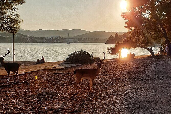 Half-Day Boat Tour Korcula Archipelago - Who Will Love This Tour?