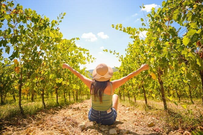 Half day Chianti Vineyard Escape from Florence with Wine Tastings - What Makes This Tour Stand Out