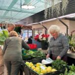 Half-Day Country Market Tour on Madeira Island - Practical Details and Value