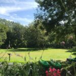 Half day descent - Final Thoughts