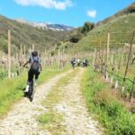 Half-Day E-Bike Tour in Prosecco Hills with Prosecco Tasting - The Experience Breakdown: What to Expect