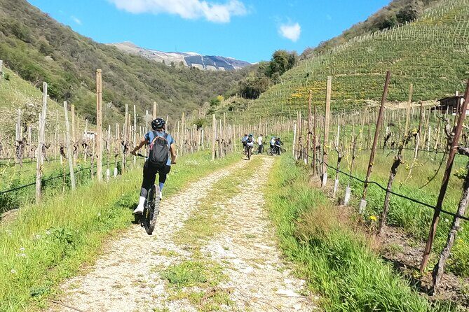 Half-Day E-Bike Tour in Prosecco Hills with Prosecco Tasting - The Experience Breakdown: What to Expect
