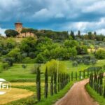 Half Day Escape to Chianti: Taste the Heart of Tuscany - What to Expect from the Tour