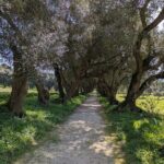 Half-day excursion around Santiago - Final Thoughts