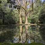 Half-day excursion around Santiago - Transport and Guide Experience