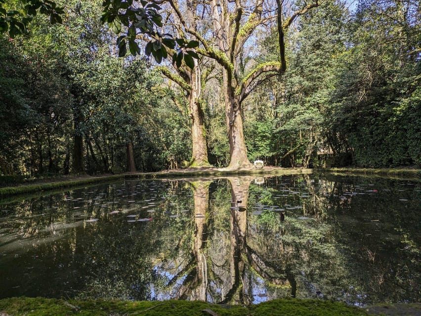 Half-day excursion around Santiago - Transport and Guide Experience