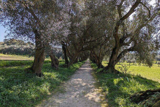 Half-day excursion around Santiago - Final Thoughts