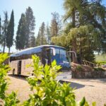 Half-day Experience to San Gimignano Hills with Picnic and Wine - Practical Details and Tips