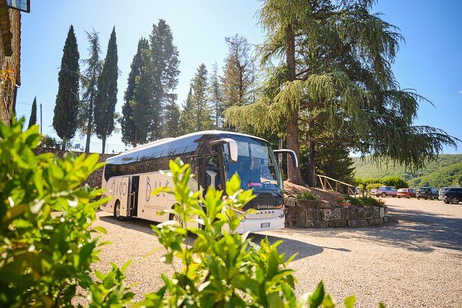 Half-day Experience to San Gimignano Hills with Picnic and Wine - Practical Details and Tips