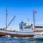 Half-Day Fishing & Fjord Cruise Adventure from Tromsø in Norway - The Fishing Experience: Balancing Excitement and Relaxation